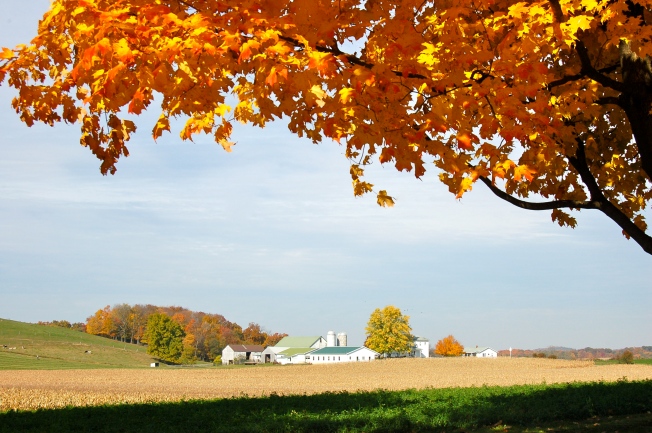 Fall in Amish country Ohio by Bruce Stambaugh