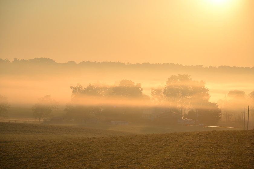 Morning fog by Bruce Stambaugh