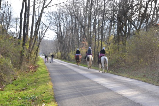 Horses on Holmes County Trail by Bruce Stambaugh