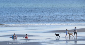 playing on the beach, walking dogs on the beach