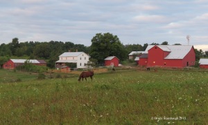 Amish farmstead, Holmes Co. OH