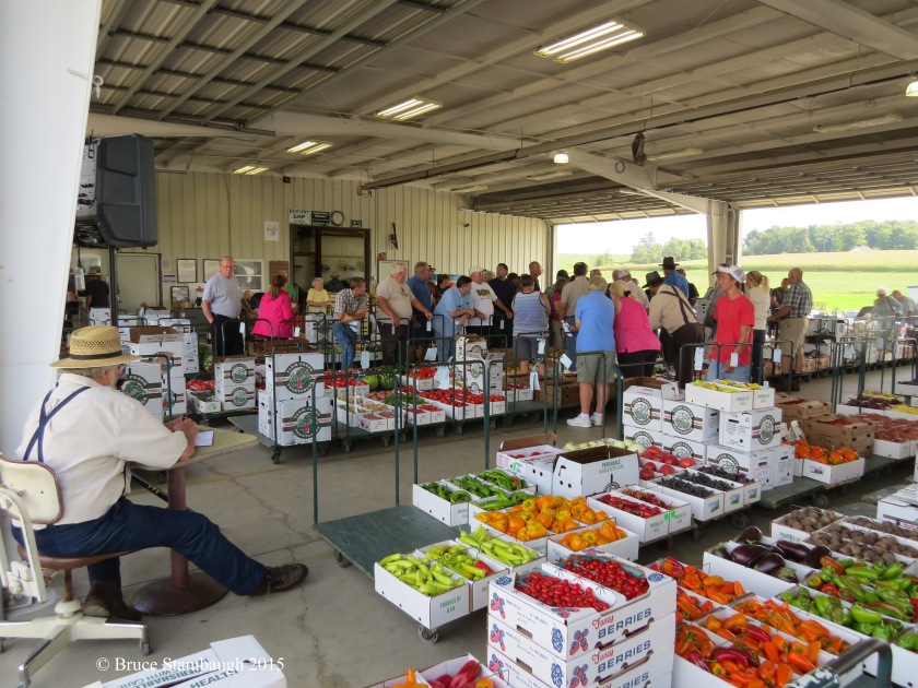 Farmers Produce Auction, Mt. Hope OH
