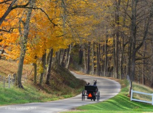 Amish buggy, Holmes Co. OH