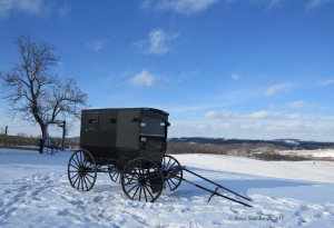 Amish buggy, snowy day