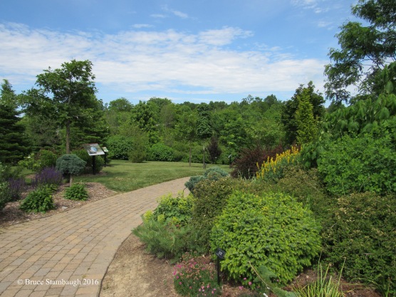path, OARDC, Secrest Arboretum