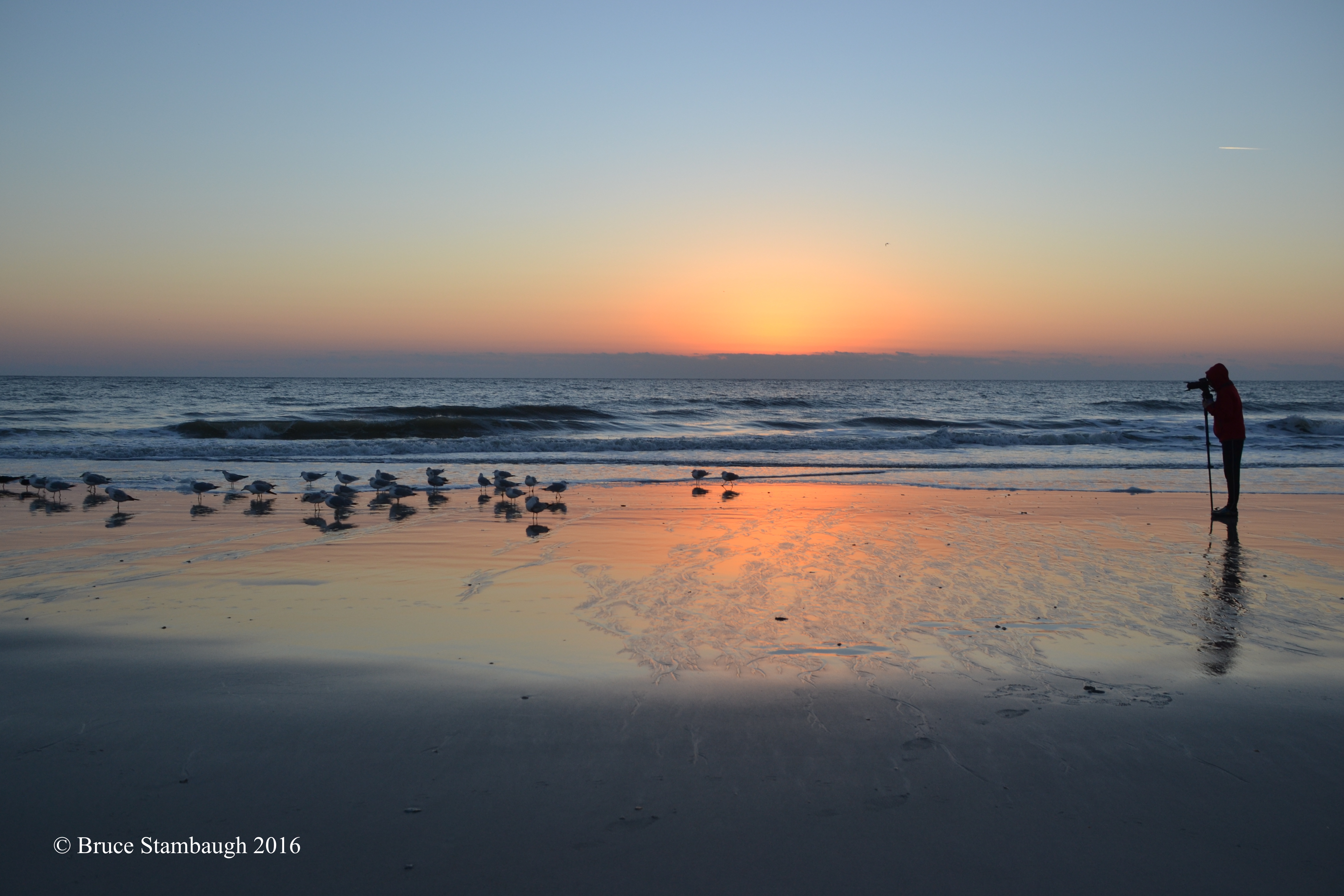sunrise, shorebirds, photographer